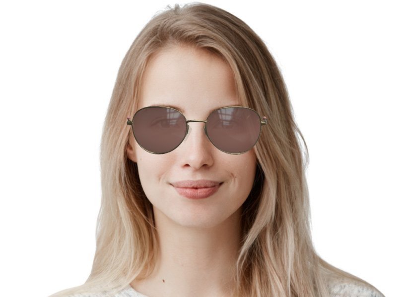 elysian sunglasses price